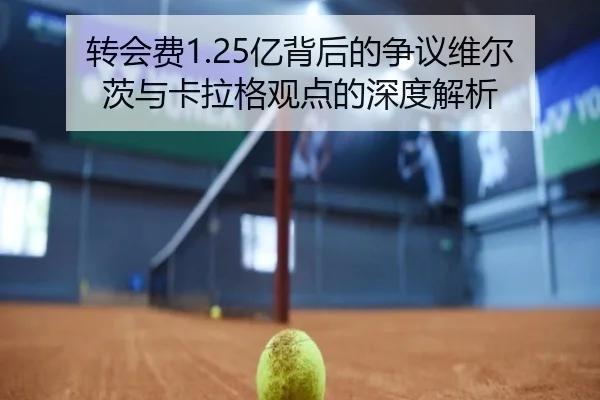 转会费1.25亿背后的争议维尔茨与卡拉格观点的深度解析